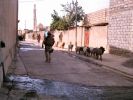 Iraqi and US mission East Mosul 10 July12.JPG