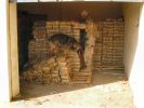 Military Workin Dogs   East Mosul 10 July2.JPG