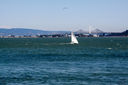 2013_Bobcats_Reunion_San_Francisco-9765.jpg