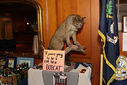 Bobcat_Reunion_Cleveland_2012-3523.jpg